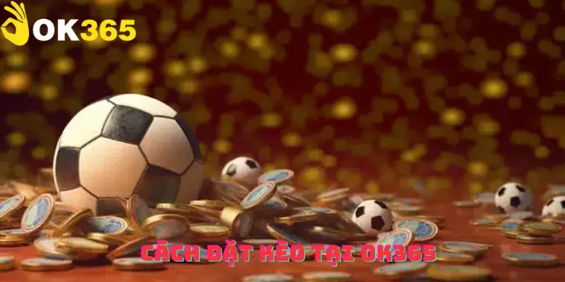 Cách đặt kèo tại OK365